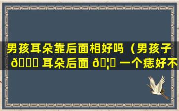 男孩耳朵靠后面相好吗（男孩子 🐋 耳朵后面 🦆 一个痣好不好）